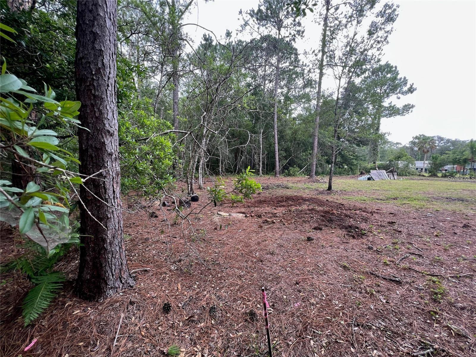 12955 RIO VISTA AVENUE