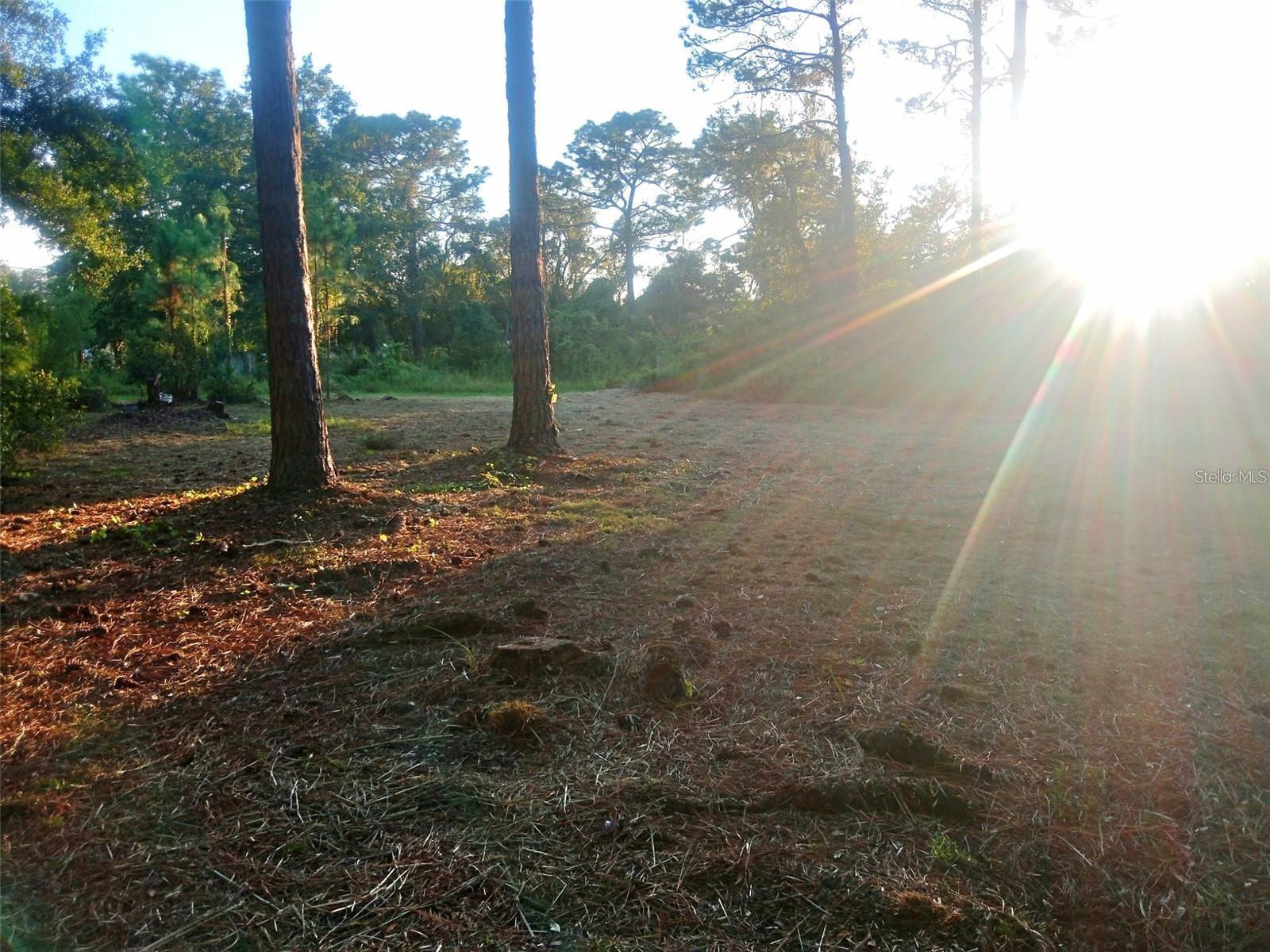 MOON LAKE ESTATES - Land