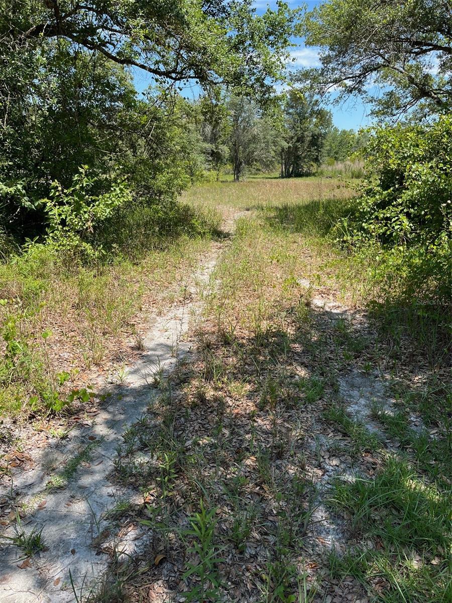 Take a look at this gorgeous ready to build corner lot in Ridge Manor Estates just over an acre. The large trees were kept for privacy from the road view and the internal lot clear with passage. Located near gas stations and eateries. Don't miss this opportunity to own this corner lot!
