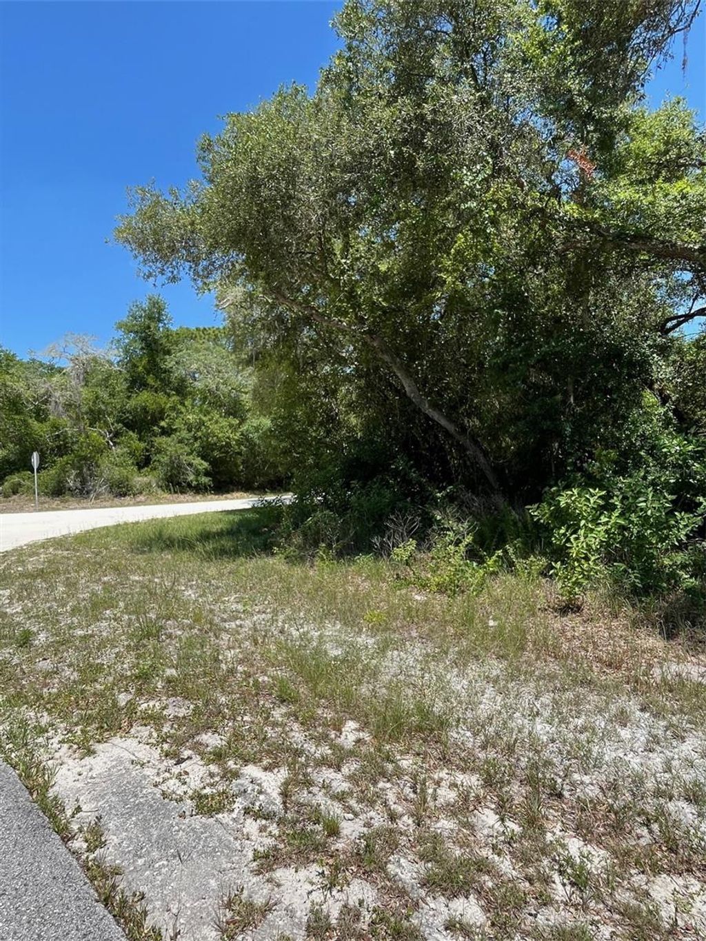 Photo of 35139 Umbrella Rock Dr, Webster, FL 33597 (MLS # G5103730)