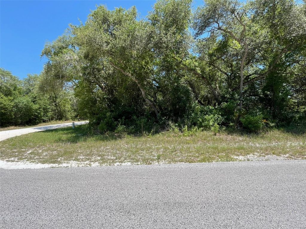 Photo of 35139 Umbrella Rock Dr, Webster, FL 33597 (MLS # G5103730)
