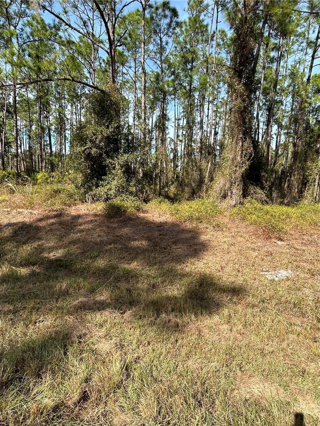 Photo of 309 Sundance Trail, Wimauma, FL 33598 (MLS # TB8454513)