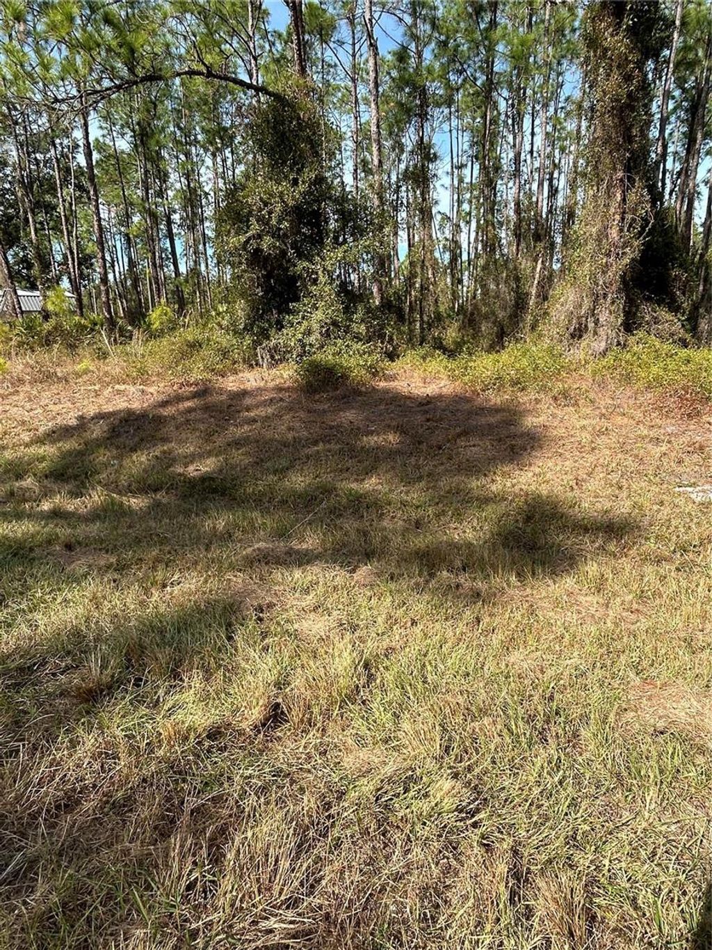 Photo of 309 Sundance Trail, Wimauma, FL 33598 (MLS # TB8454513)
