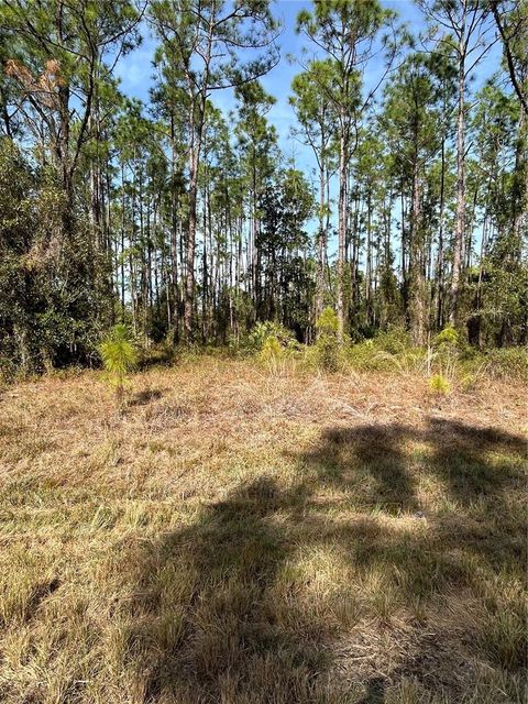 Search Sarasota & Manatee County Homes 53 309 SUNDANCE TRAIL WIMAUMA FL 33598