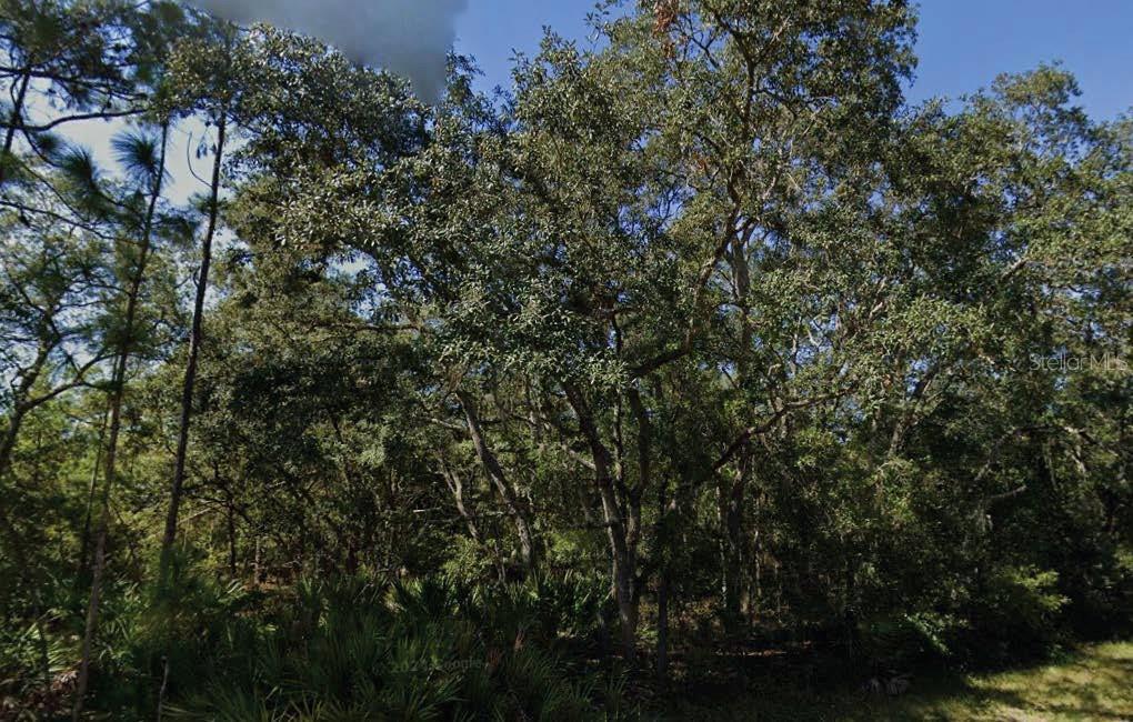 Located in a quiet, lakeside community, this residential lot offers a serene and wooded setting ideal for building a custom home or vacation retreat. The seller has additional parcels in both Putnam and Washington Counties and is open to discounted pricing for multiple lot purchases. All information is deemed reliable but should be independently verified.