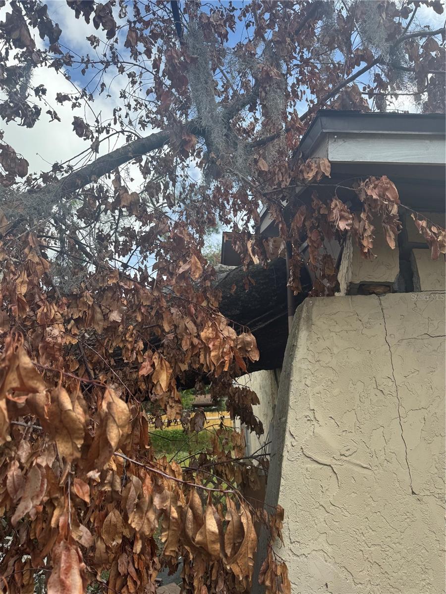 SHANGRI LA SUB UNIT - Residential Income