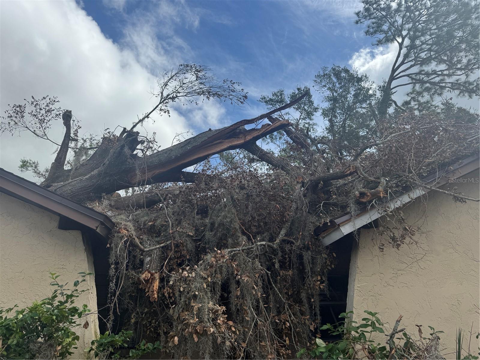 SHANGRI LA SUB UNIT - Residential Income