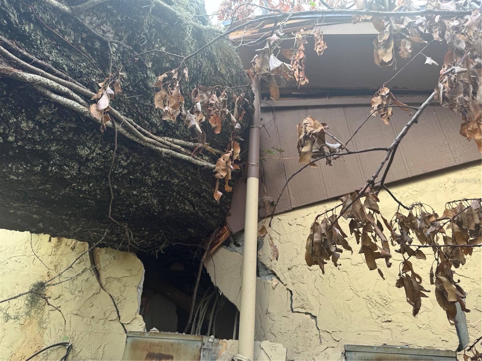 SHANGRI LA SUB UNIT - Residential Income