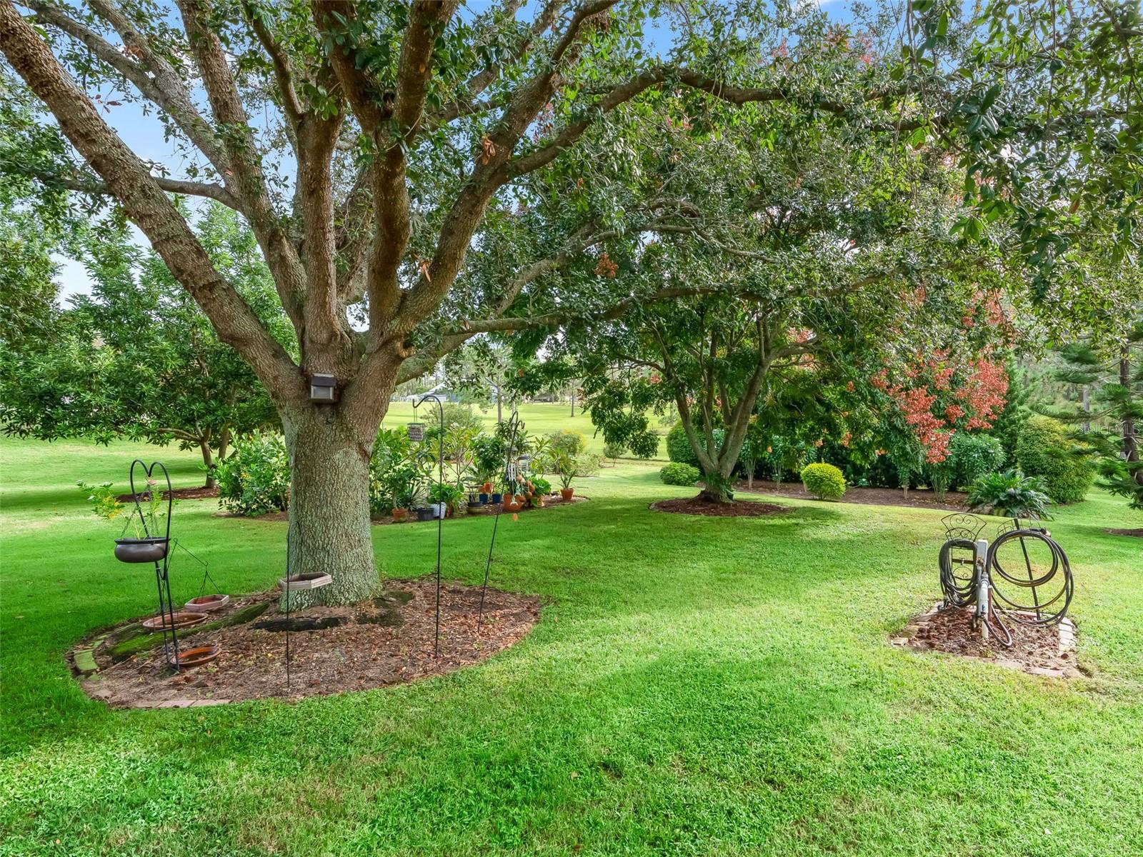 MEADOWS AT SUNNYSIDE - Residential