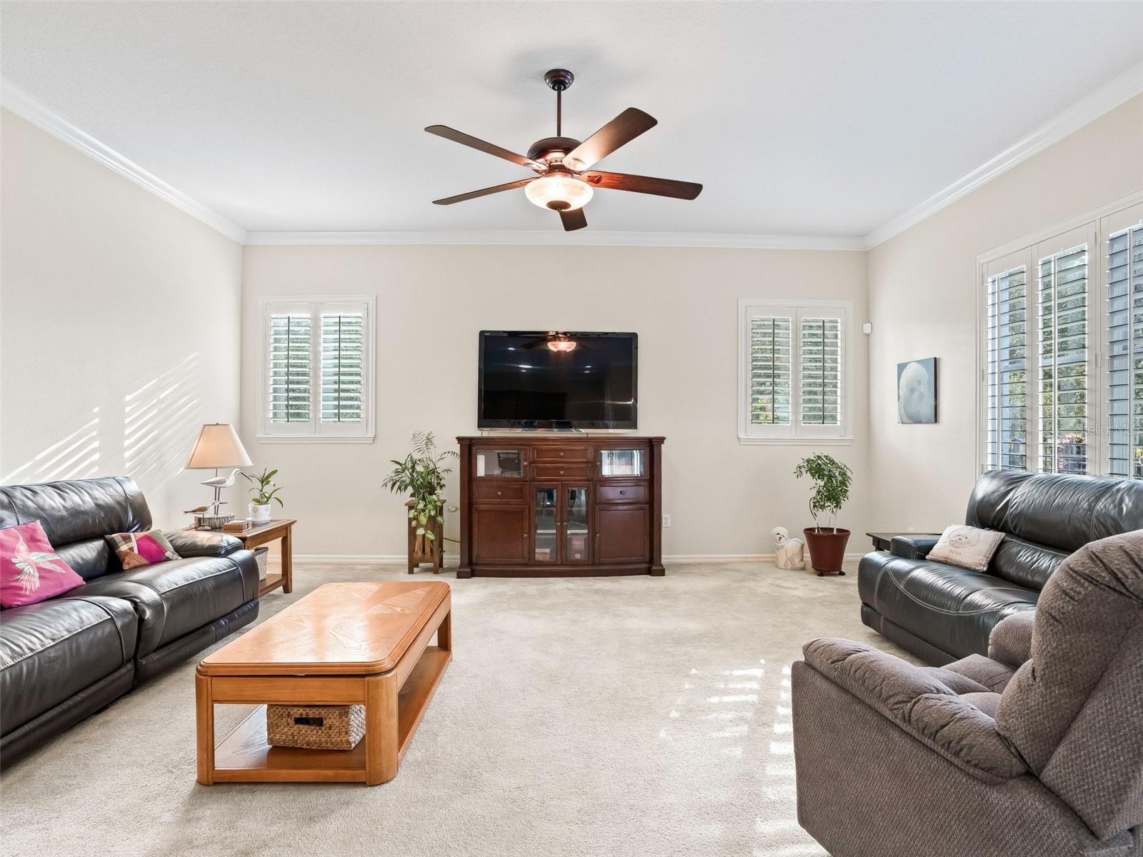 MEADOWS AT SUNNYSIDE - Residential