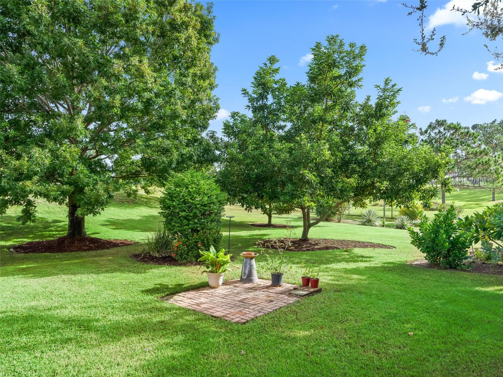 MEADOWS AT SUNNYSIDE - Residential