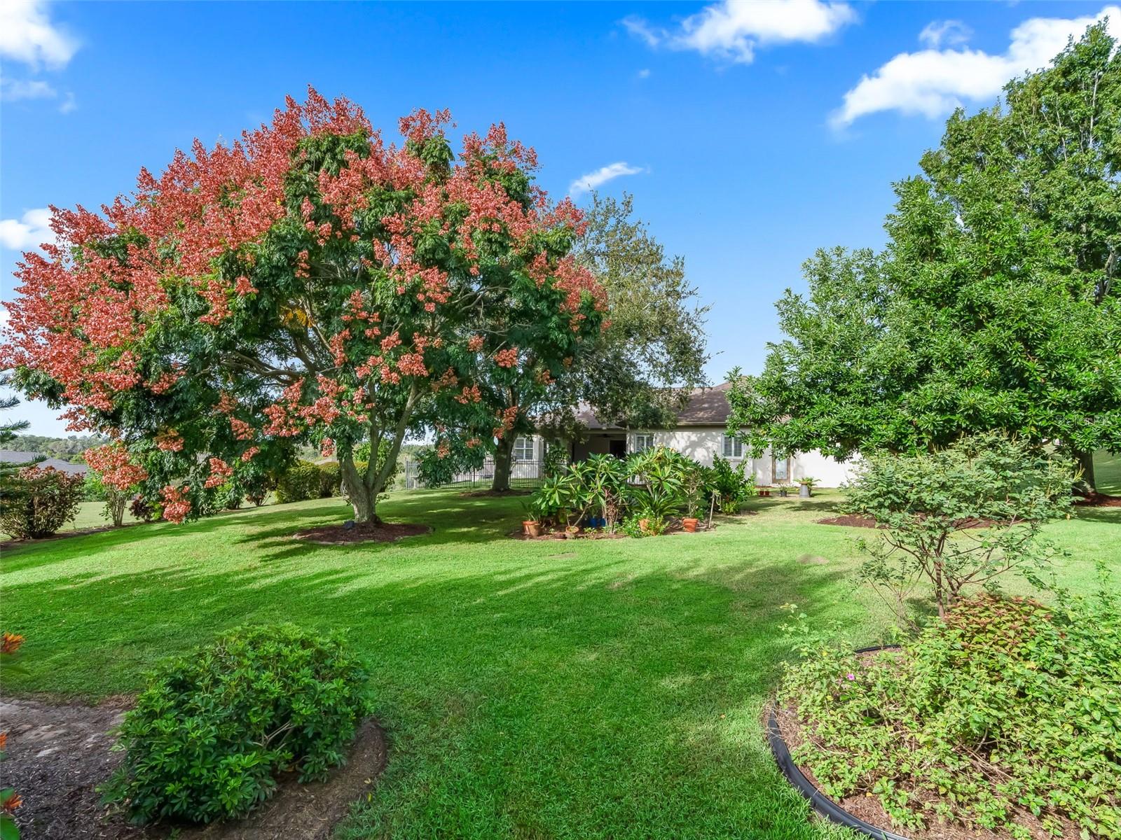 MEADOWS AT SUNNYSIDE - Residential