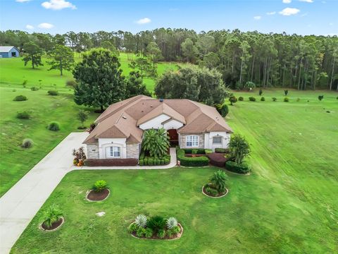 Photo of 31318 Sunny Meadow Court, Leesburg, FL 34748 (MLS # G5103193)