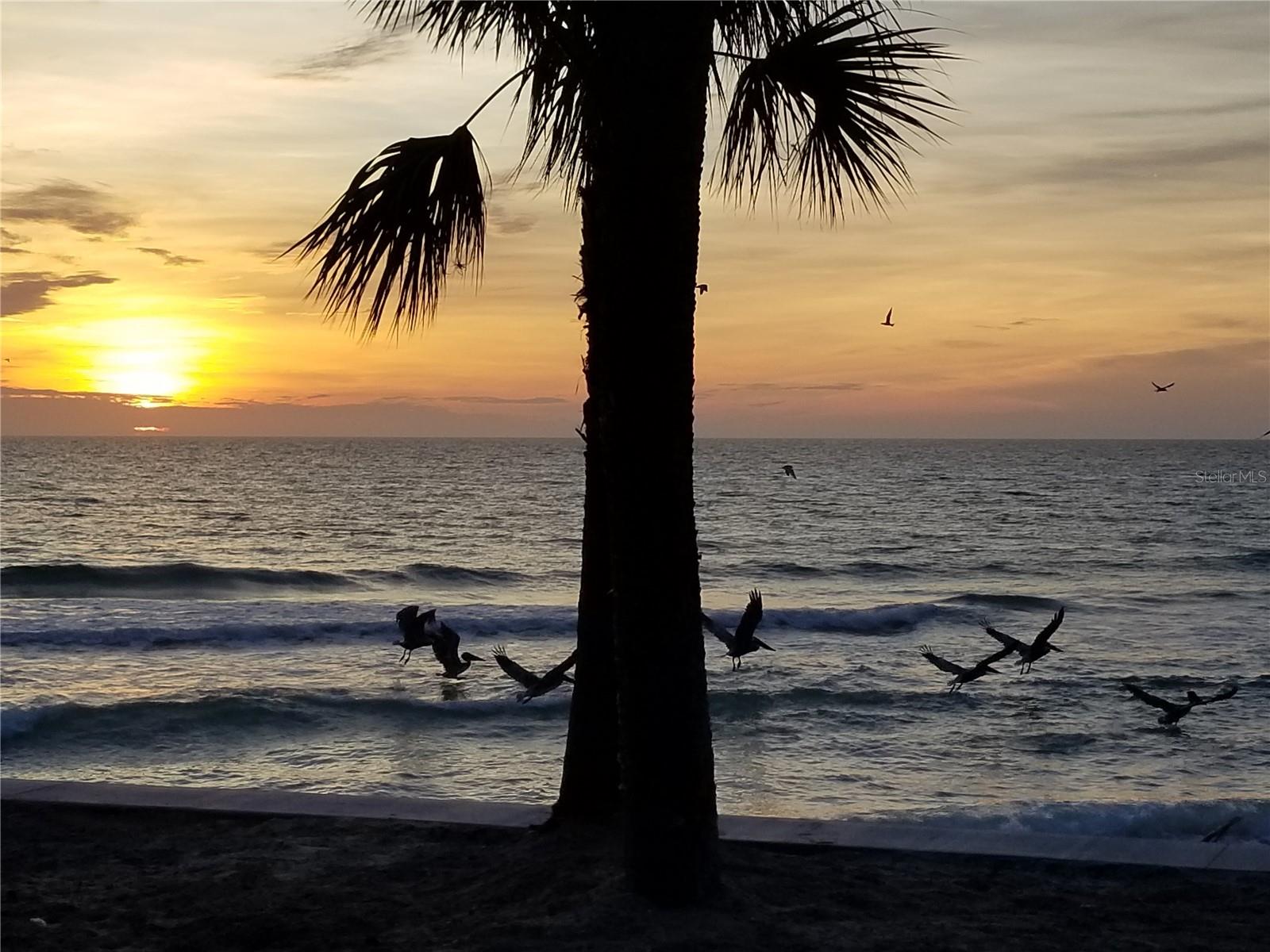 MANASOTA KEY - Residential