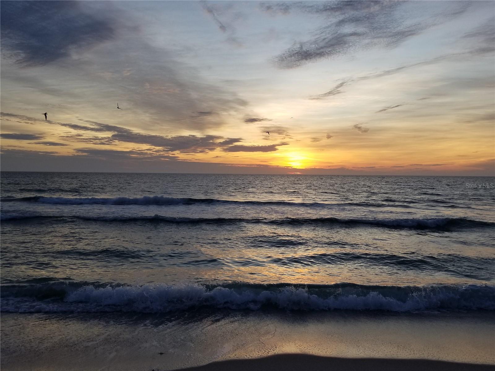 MANASOTA KEY - Residential