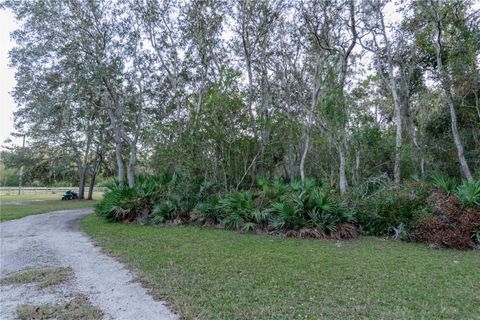 A home in DELTONA