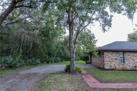 A home in DELTONA