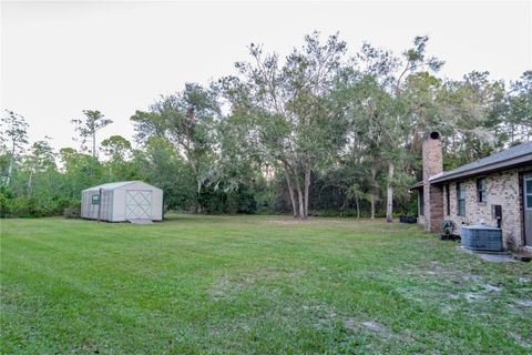 A home in DELTONA