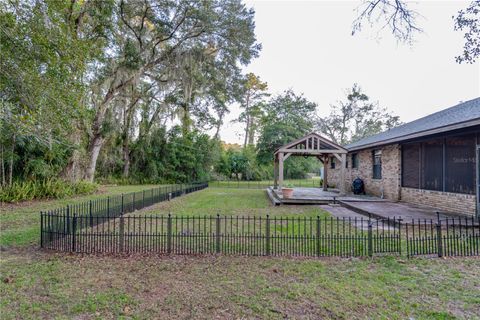 A home in DELTONA