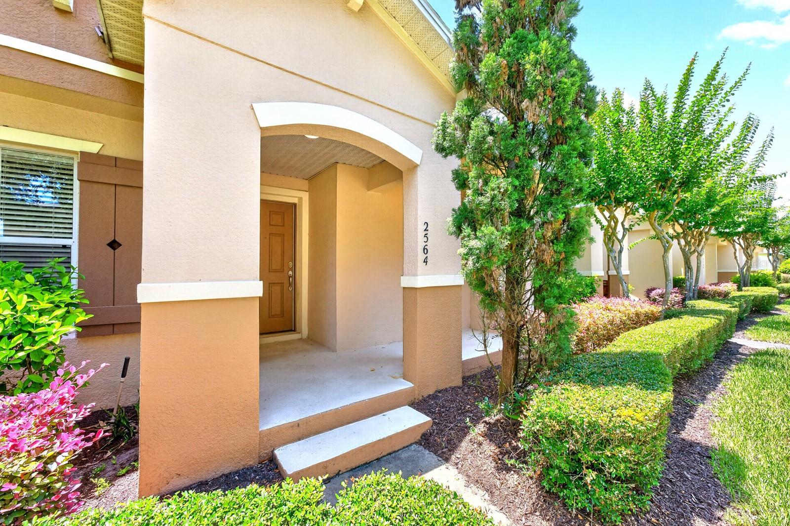 2564 ABEY BLANCO DRIVE