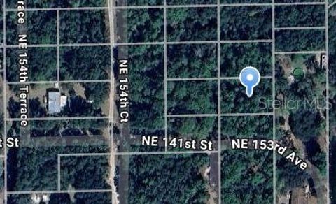 NE 153RD AVENUE FORT MC COY FL 32134