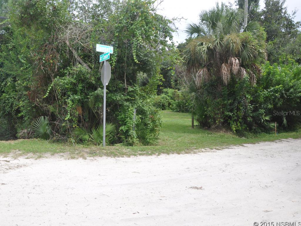 Turnbull Shores Lts 01-99 Inc - Land