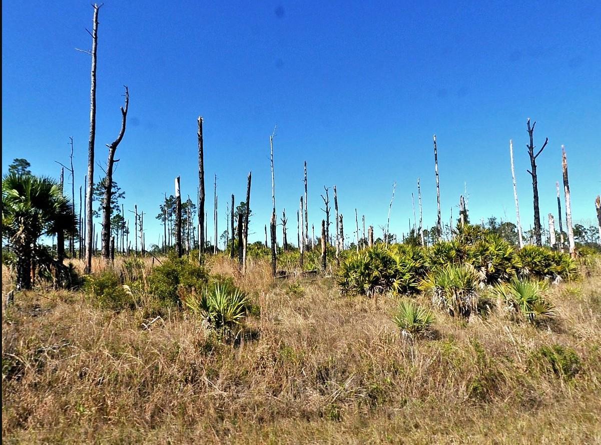Own a little piece of sunny Florida to build your future dream home. Close to Hwy 75, therefore near restaurants, shopping and sandy beaches. This property is not in a flood zone!