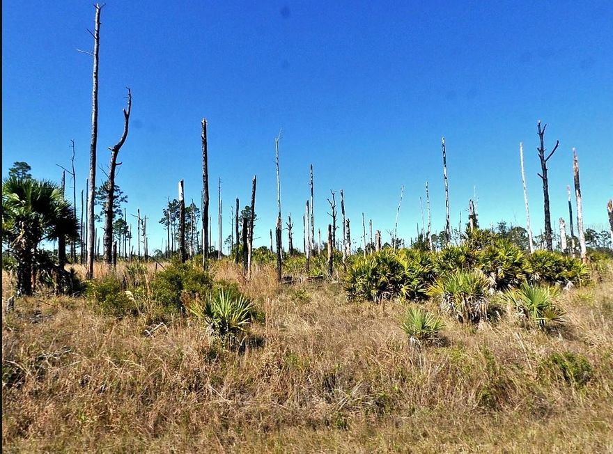 PRICE REDUCTION! Own a little piece of sunny Florida to build your future dream home. Close to Hwy 75, therefore near restaurants, shopping and sandy beaches.  This property is not in a flood zone!