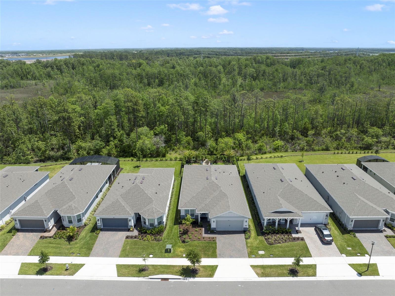 2511 PINE PRESERVE COURT
