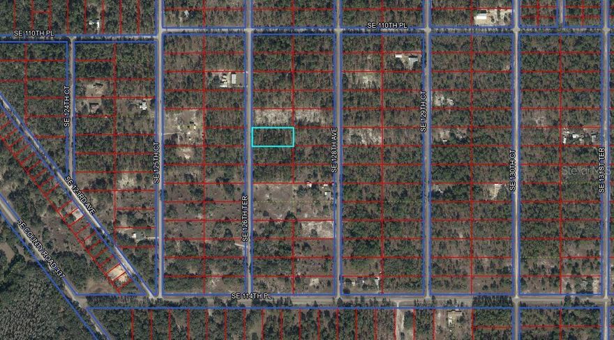 1 ACRE IN RAINBOW LAKES ESTATES -LEVY COUNTY - DUNNELLON! Discover the potential of this one acre homesite in Rainbow Lakes Estates, perfectly situated on a paved road. Surrounded by natural Florida landscape and minimal development, this property offers an excellent opportunity for a site-built or modular home with plenty of space for outdoor living, gardening, or recreation. This parcel is ideal for buyers looking for affordability without sacrificing space and location. Enjoy the tranquility of rural living while still being within a reasonable drive to nearby towns, shopping, and amenities. This property offers possible owner financing.