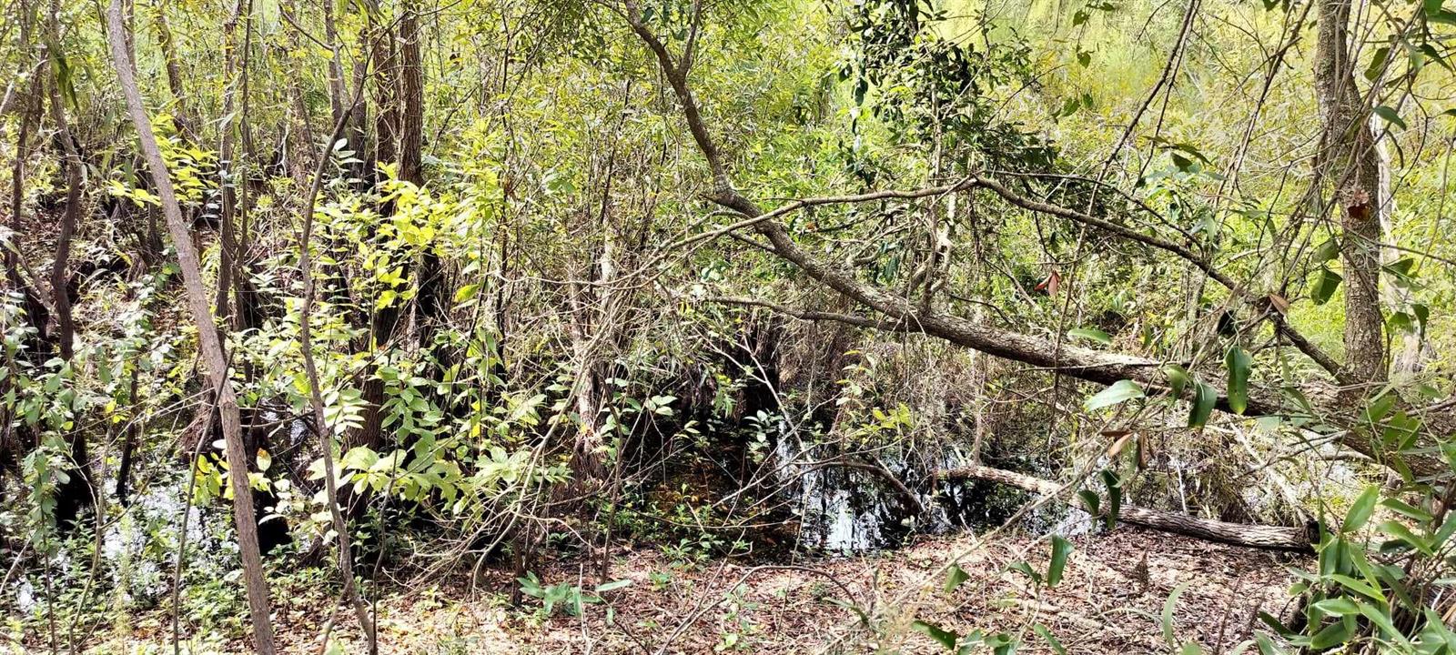 SHELTERING OAKS UNREC SUB - Land