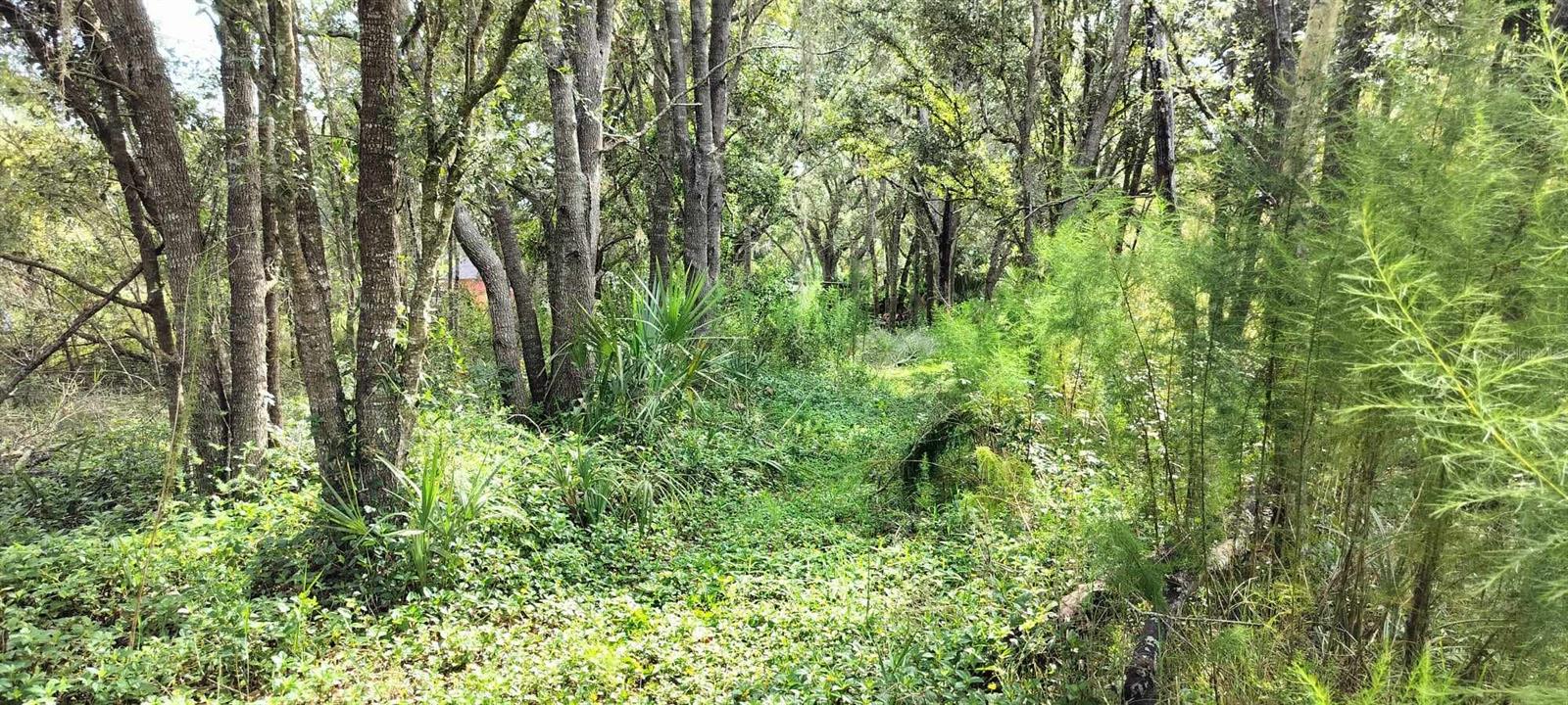 SHELTERING OAKS UNREC SUB - Land