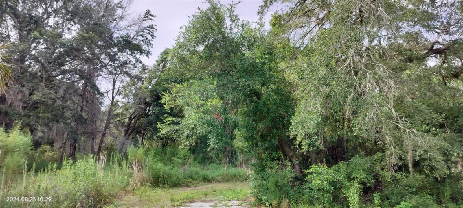 SHELTERING OAKS UNREC SUB - Land