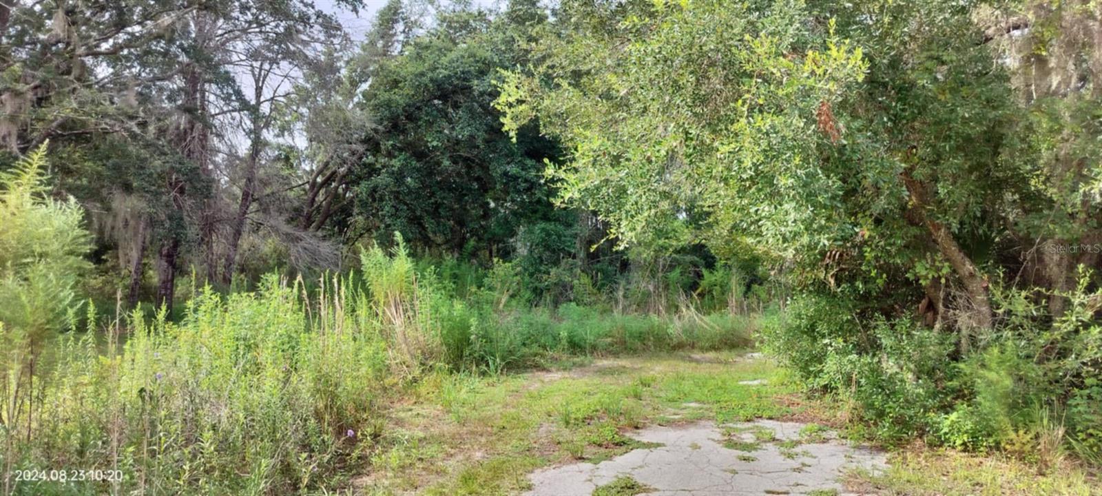 SHELTERING OAKS UNREC SUB - Land