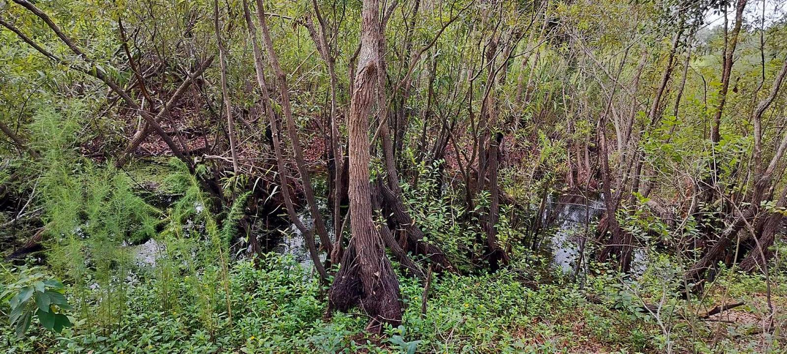 SHELTERING OAKS UNREC SUB - Land