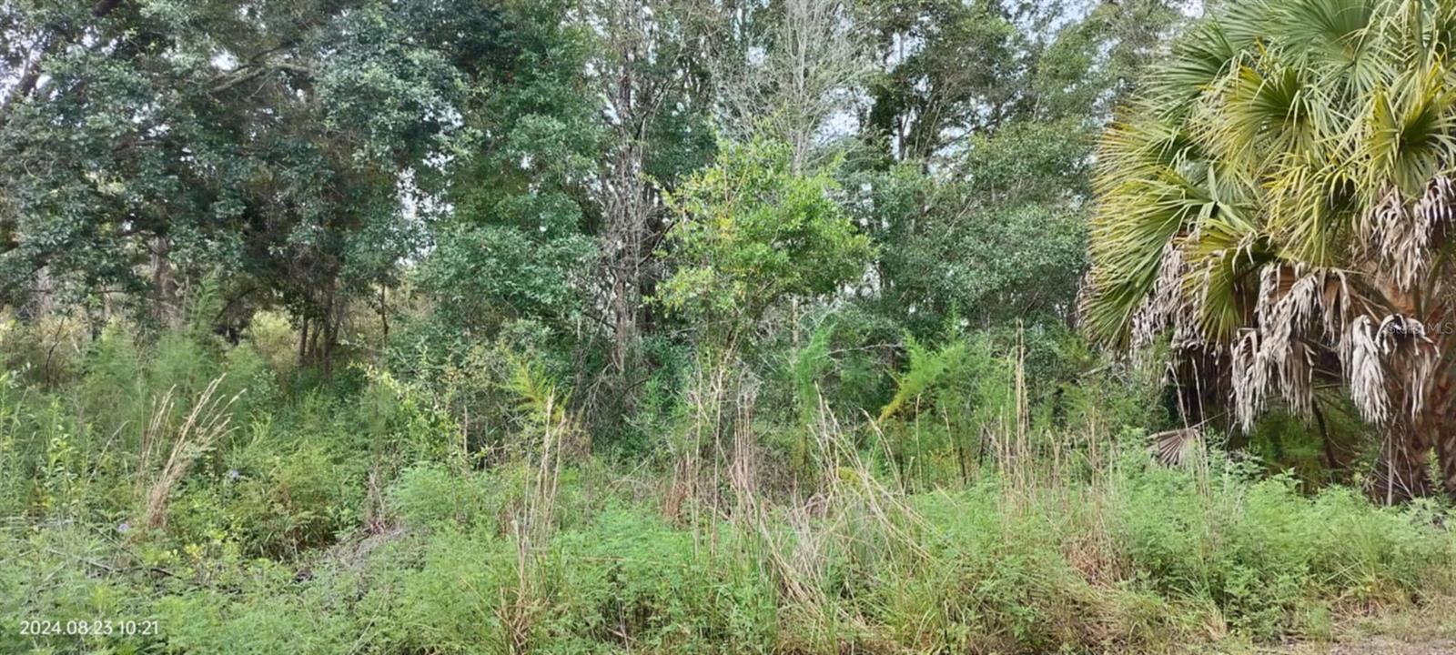 SHELTERING OAKS UNREC SUB - Land