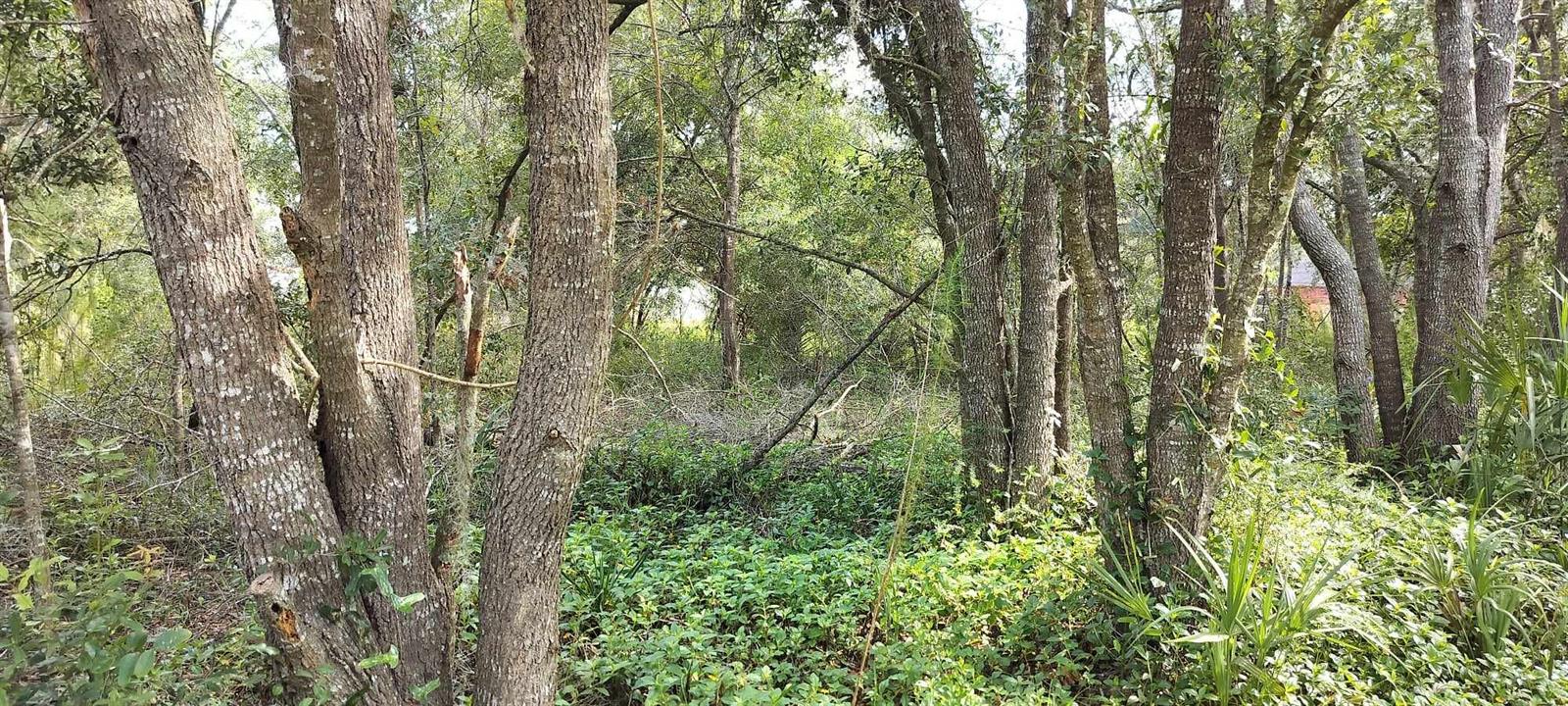 SHELTERING OAKS UNREC SUB - Land