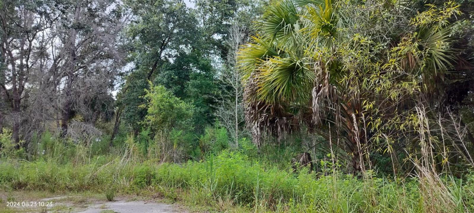 SHELTERING OAKS UNREC SUB - Land