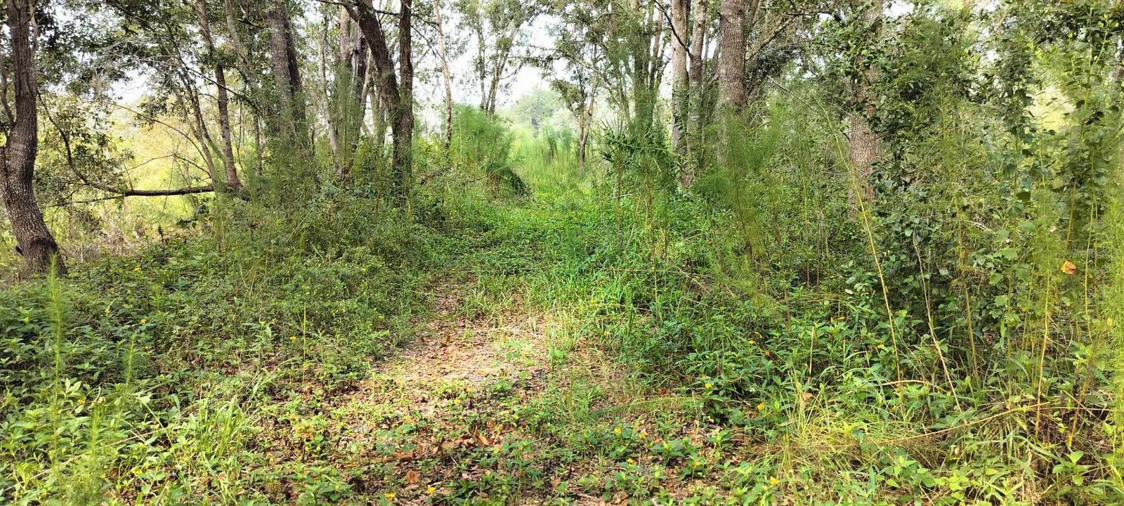 SHELTERING OAKS UNREC SUB - Land