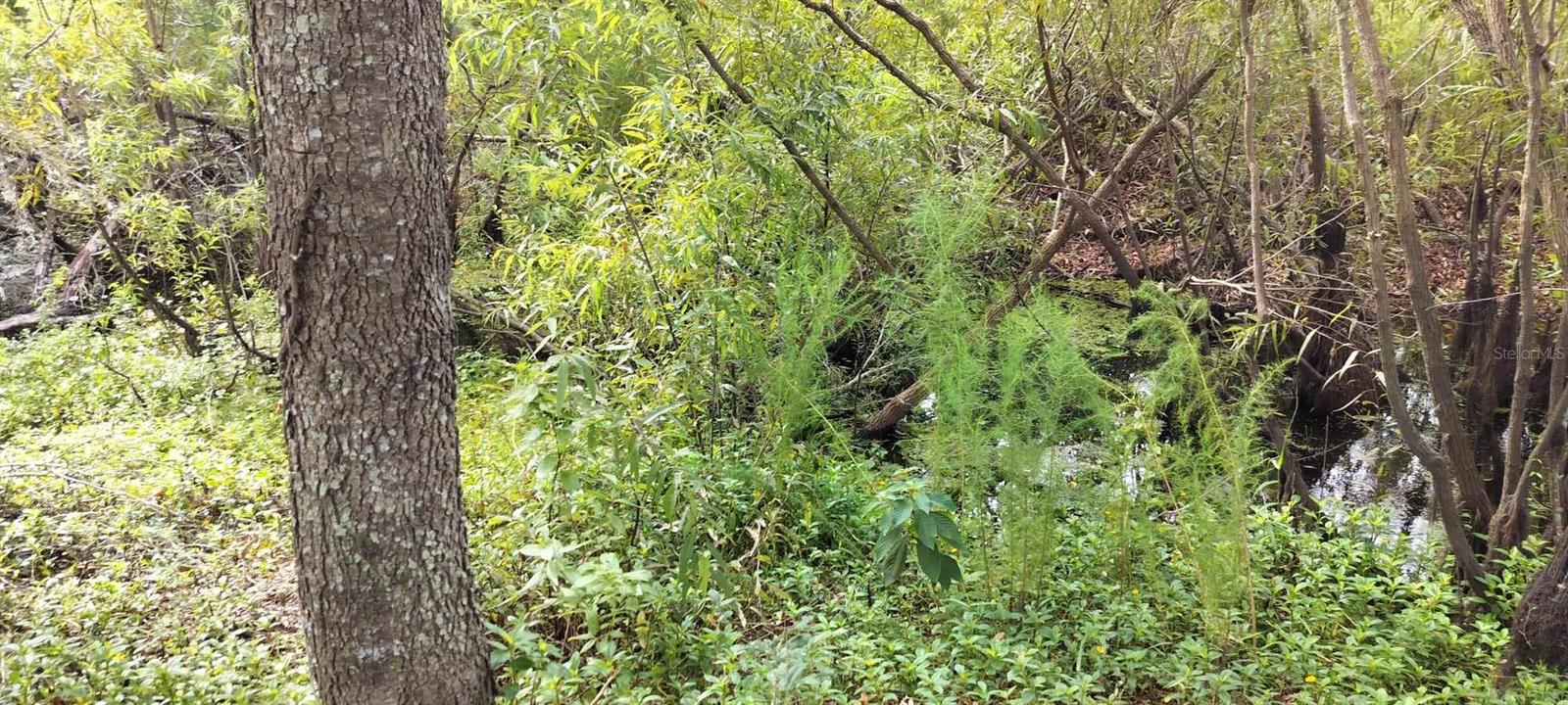 SHELTERING OAKS UNREC SUB - Land