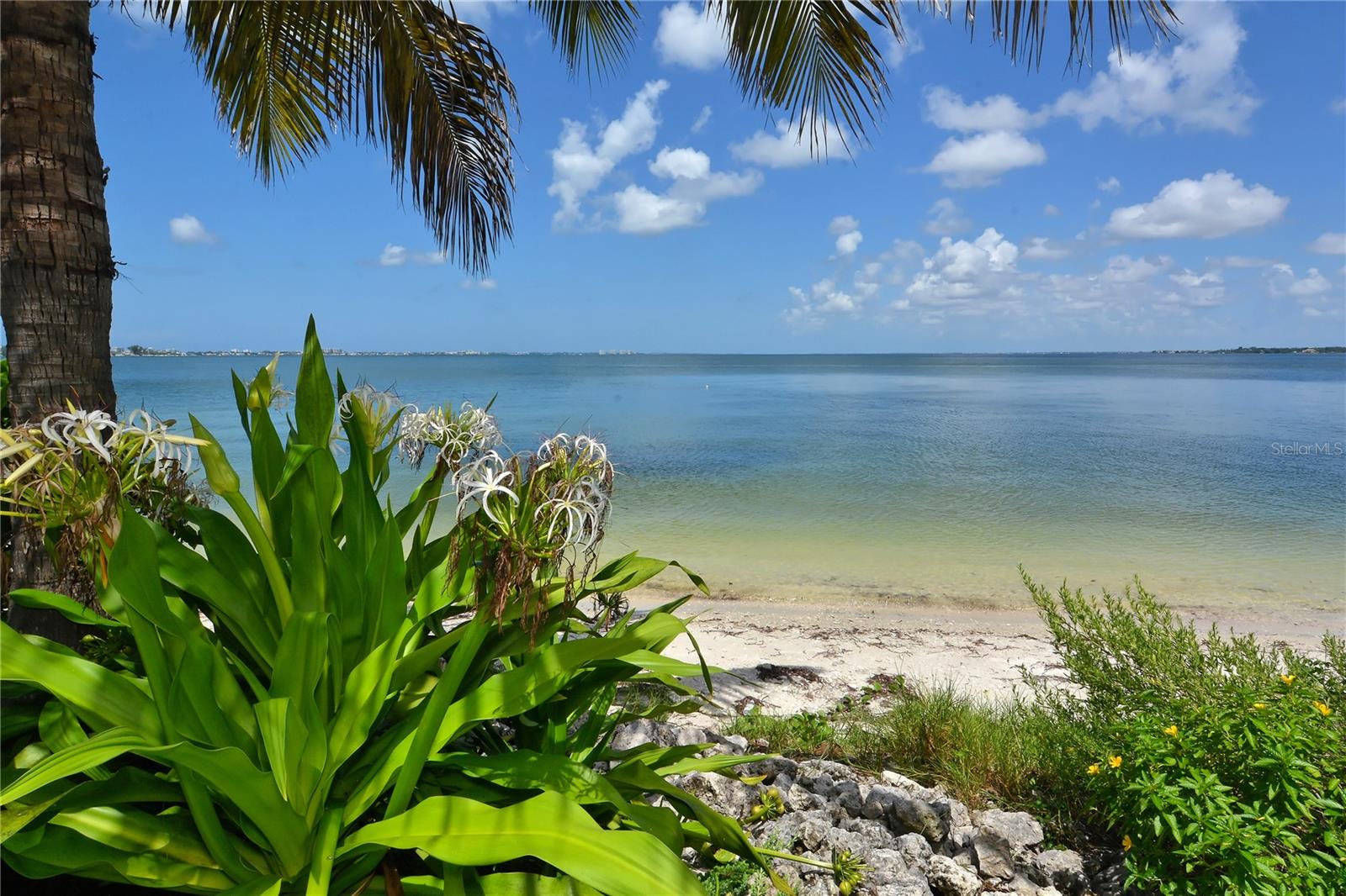 SUNSET TOWER - Residential