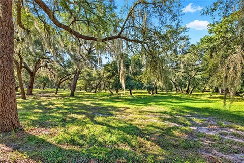 Tiny photo for 2750 NE 175th Street Road, Citra, FL 32113 (MLS # OM733894)