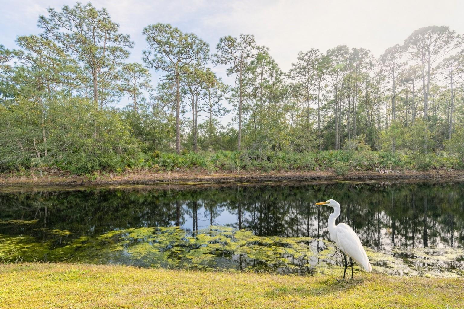 LAKES PINE RUN CONDO PH 01 02 - Residential