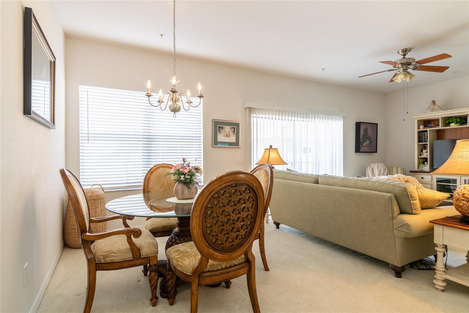 TERRACES AT PARADISE LAKES A CONDO THE - Residential