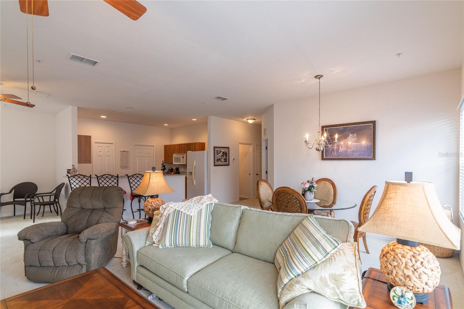 TERRACES AT PARADISE LAKES A CONDO THE - Residential