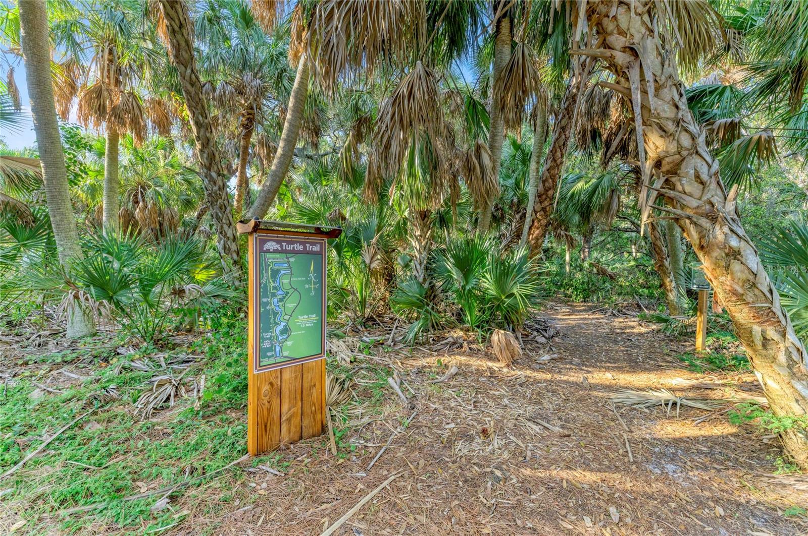 SAVANNAH AT TURTLE ROCK - Residential