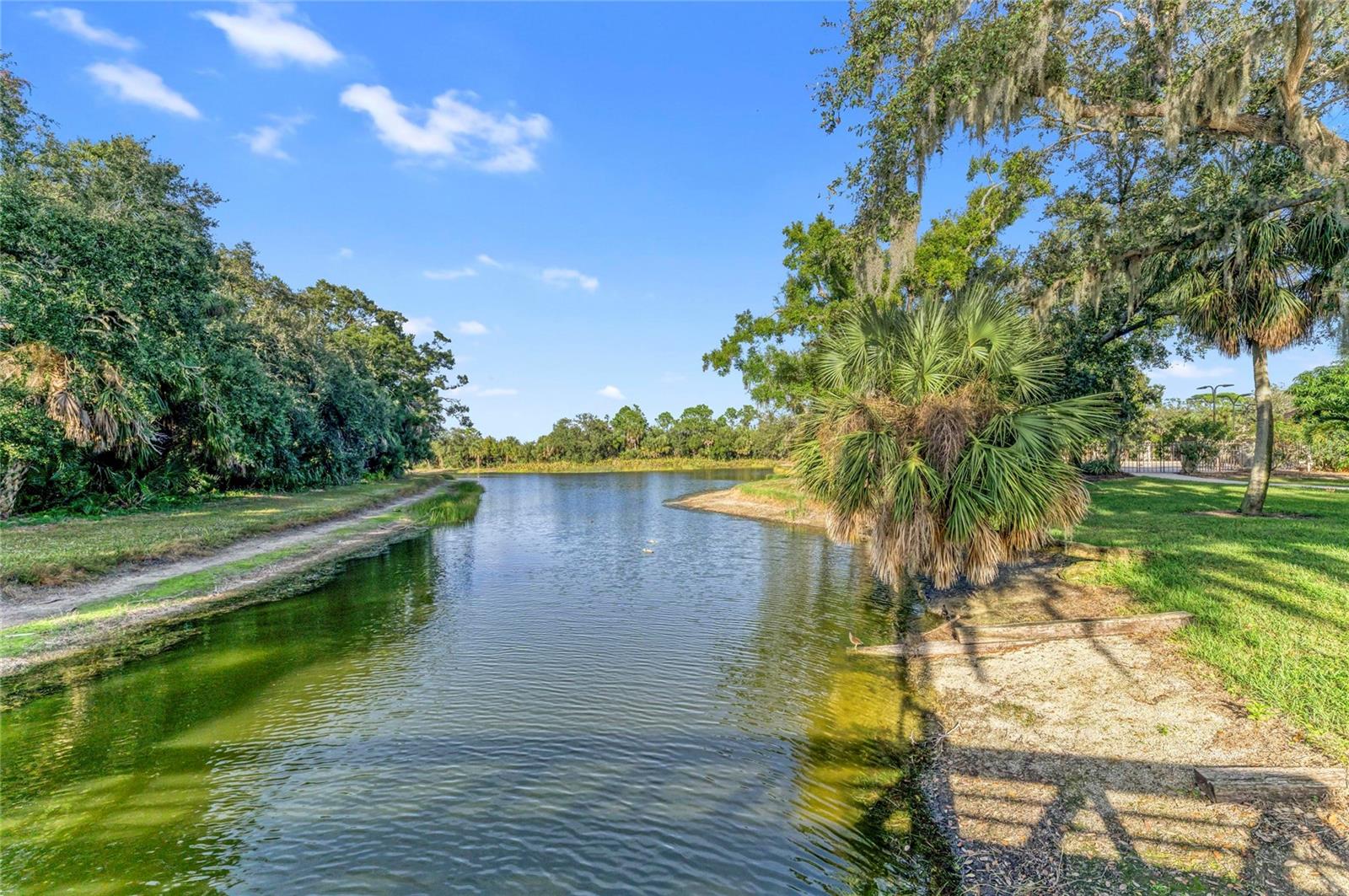 SAVANNAH AT TURTLE ROCK - Residential