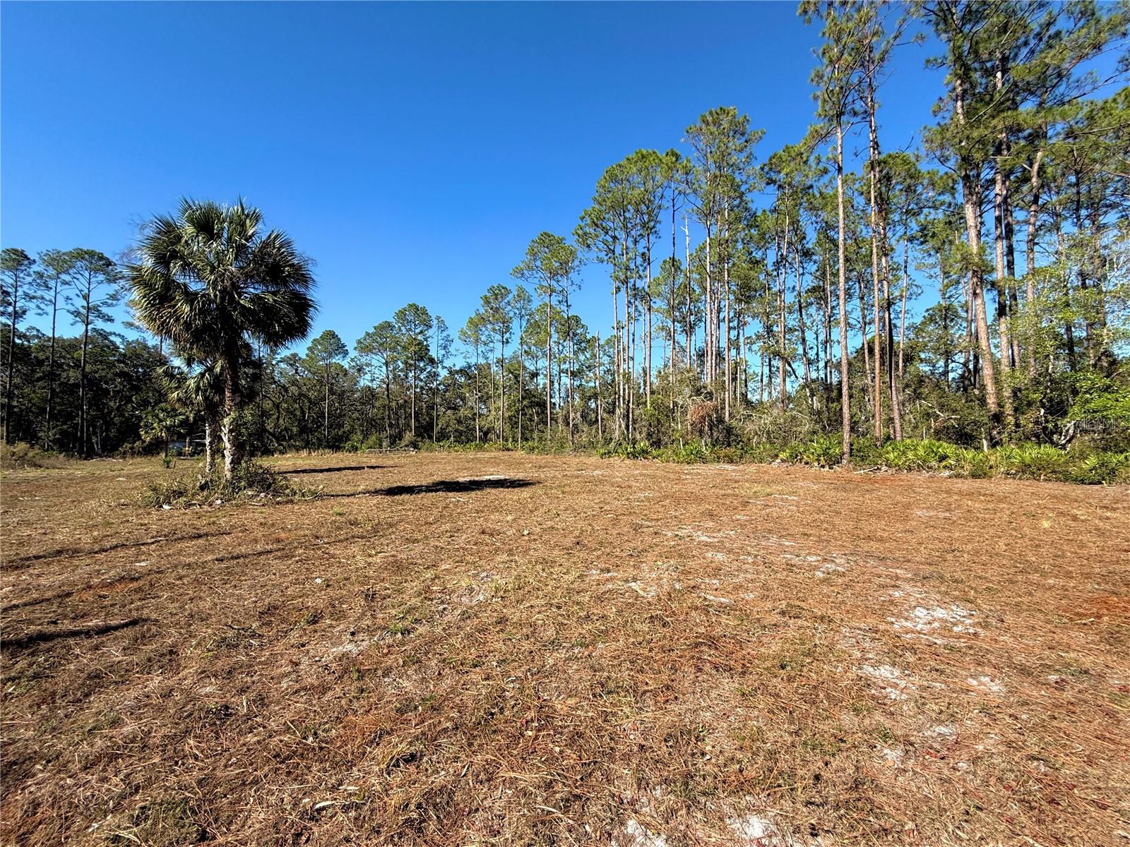 A & A ESTATES - Land