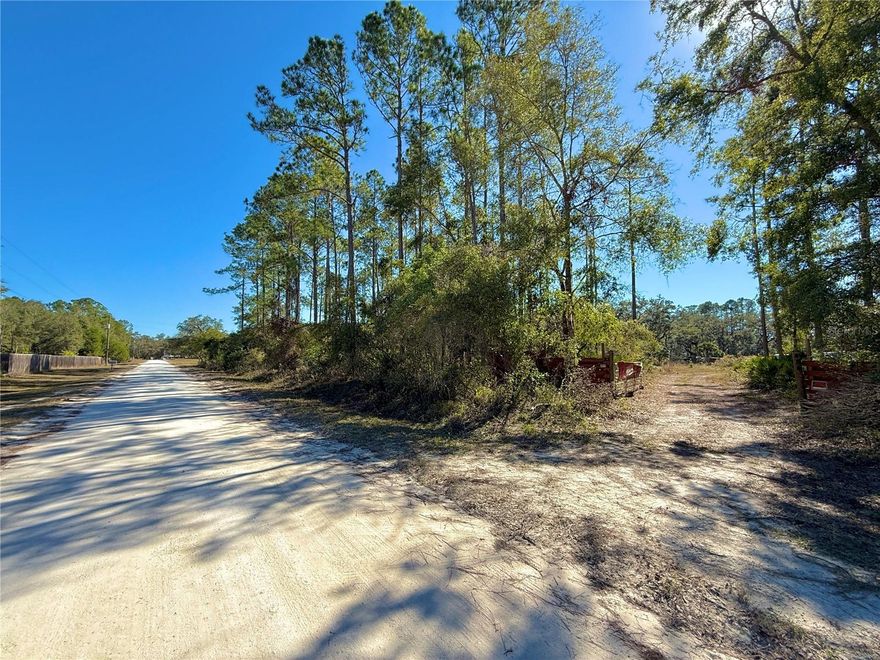 This beautiful 2.26-acre property is ready and waiting for you with everything you need to settle in – a large septic tank, an electric well (80-gallon pressure tank) with a hand pump, and electricity already connected. Located just minutes from Fanning Springs, Manatee Springs, Ginnie Springs, and the Suwannee River, this prime location is surrounded by breathtaking natural beauty in the heart of the renowned Florida’s Nature Coast. You'll also be just 40 minutes from Cedar Key on the Gulf of Mexico, providing easy access to coastal adventures. 

Whether you love hiking, fishing, hunting, kayaking, or simply soaking up nature, this is the perfect place to call home. The opportunities are endless – design a custom home with room for a pool, a shed or workshop for your projects, a carport for your vehicles, and even a lush garden to grow your own fruits, vegetables, and flowers. This property is your blank canvas for creating a self-sustaining lifestyle. If you’re seeking a home where adventure meets tranquility, this is the perfect spot!