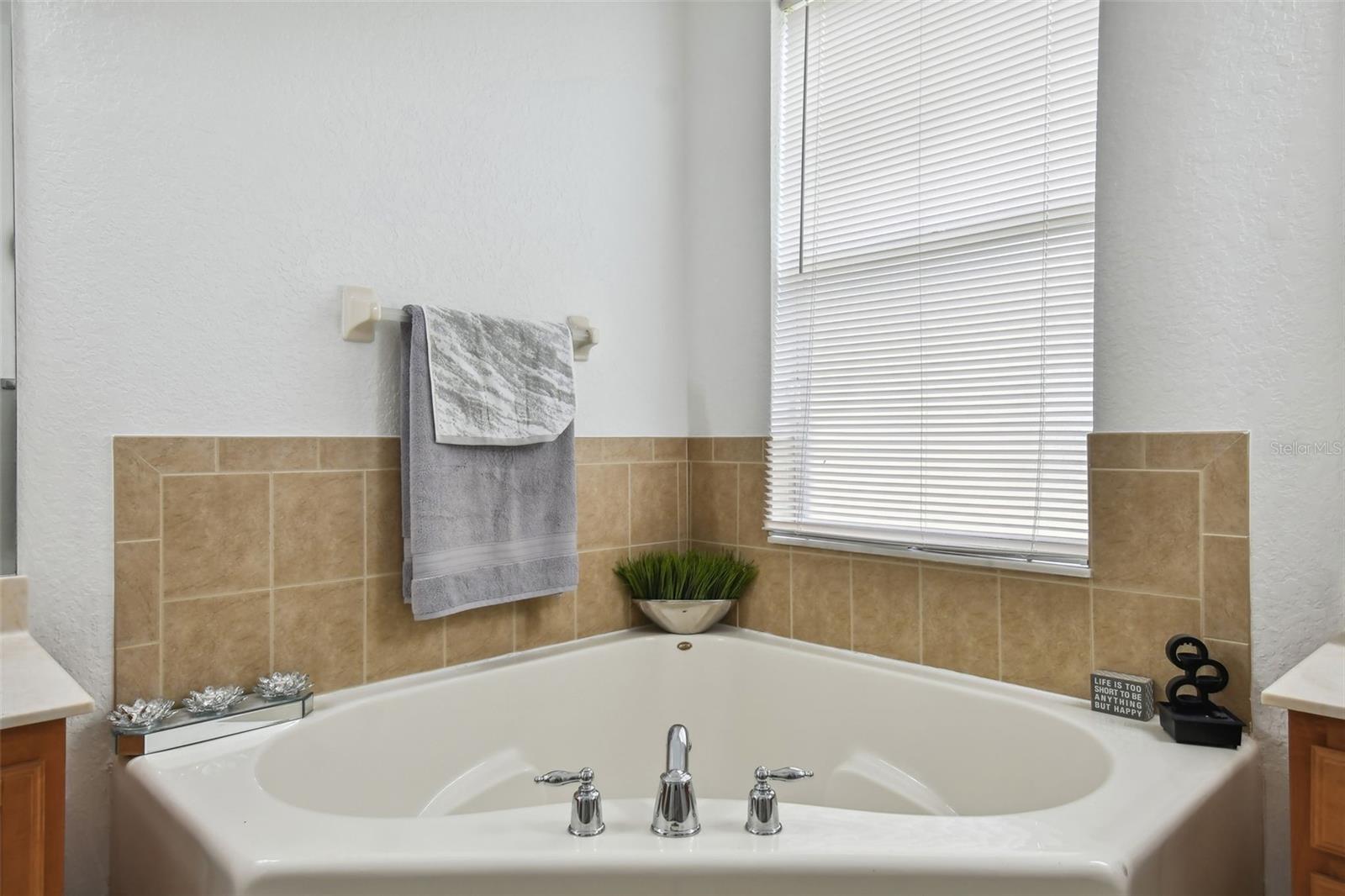 LIVE OAK PRESERVE PH 2A-VILLAG - Residential